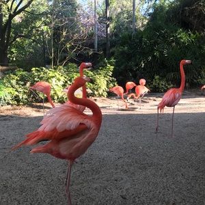 Meet your Posher, Ashlyn